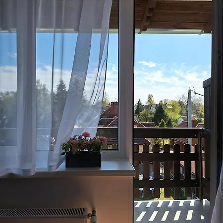 Lesne Zacisze ゲストハウス ミコシェボ