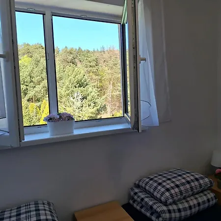 Lesne Zacisze ゲストハウス